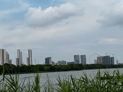 -顺峰山公园
