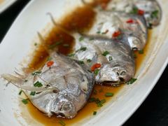 红烧鲳鱼-海景苑海鲜大酒店(吕四店)