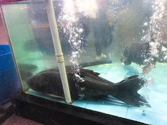 -莞香楼·正宗东莞菜(东升店)