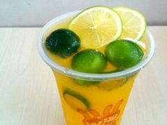 -骨灵精怪