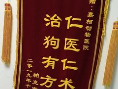 -嘉馨宠物医院·CT影像转诊·心脏科·犬猫全科诊疗中心(下沙大学城院区)