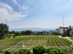 -云禾壹海景庄园餐厅