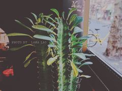 -KYO COFFEE(胶州路店)
