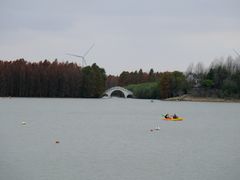 -上海海湾国家森林公园