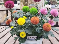 -共青国家森林公园-售票处