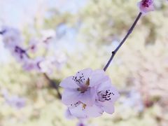 -颐和园