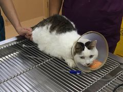 -惠康宠物医院(华能路店)