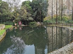 -成都市活水公园