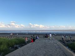 -南汇新城海滩