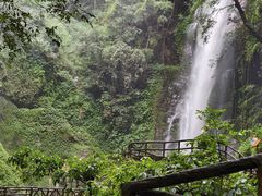 -莫里热带雨林景区
