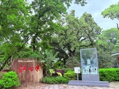 -江心屿景区
