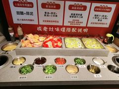 -成老灶火锅鸡(平山店)