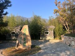 -阳台山自然风景区