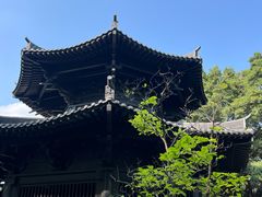 -荔湾湖公园