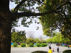 -南京市江宁方山