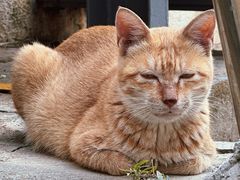 -转山咖啡(松柏社区店)