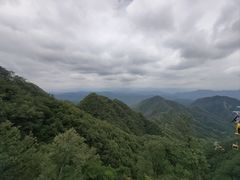 -栾川竹海野生动物园