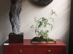 -月栖华明-云间草堂清茶馆(泗泾古镇店)