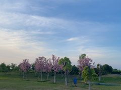 -武汉紫薇都市田园
