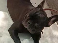 -纳吉亚猫专科动物医院·北北分院