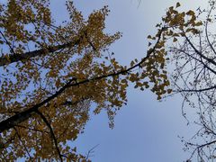 -重庆彩云湖湿地公园