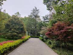 -上海佘山国家森林公园天马山园