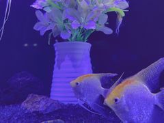 -厦门海底世界