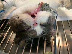 -仁普宠物诊所(住友昌盛新苑店)