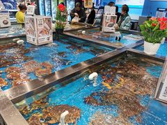 -盒马鲜生(丁香国际店)