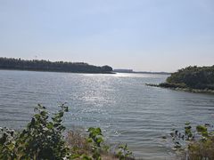 -丁香湖公园