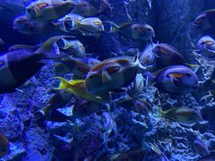 -成都浩海立方海洋公园