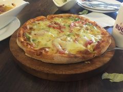 -百好乐宠物友好餐厅(朝外大街店)