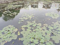 -马帮寨院坝火锅(龙港公园店)