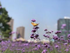 -杭州城北体育公园