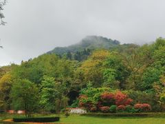 -青城山