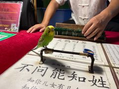 -东南亚风情赶摆街夜市