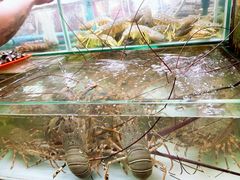 -班赞海鲜市场