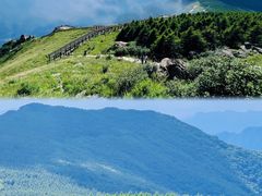 -白草畔自然风景区