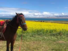 -青海湖国家重点风景名胜区