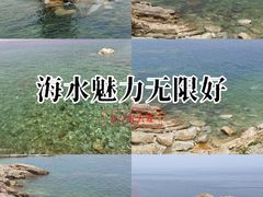 -养马岛旅游度假区