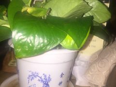 -华夏良子·足道SPA艾灸(三里屯店)