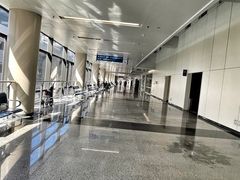-首都医科大学附属北京天坛医院