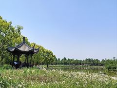 -宁波杭州湾国家湿地公园