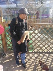 -萌宠亲子动物乐园(槐房万达店)