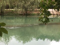 -贵阳市花溪国家城市湿地公园