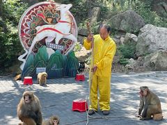 -洛阳花果山景区