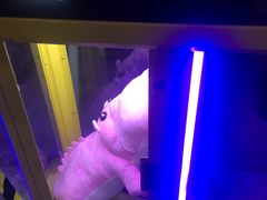 -幸福蓝海影城(上海闵行日月光中心杜比全景声店)