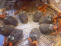 -罗森尼娜(德思勤店)