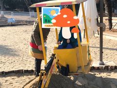 -祥源·阜阳生态乐园