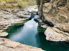 -黑河国家森林公园